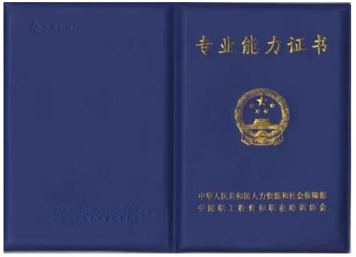 《人力资源管理专业人员职称评价办法（试行）》