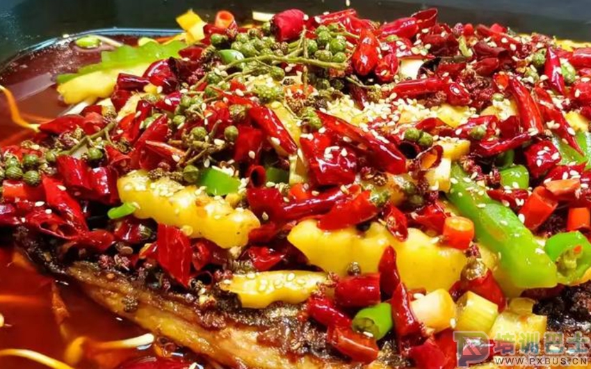 烤鱼制作技术详解:从选鱼到摆盘的全程指导